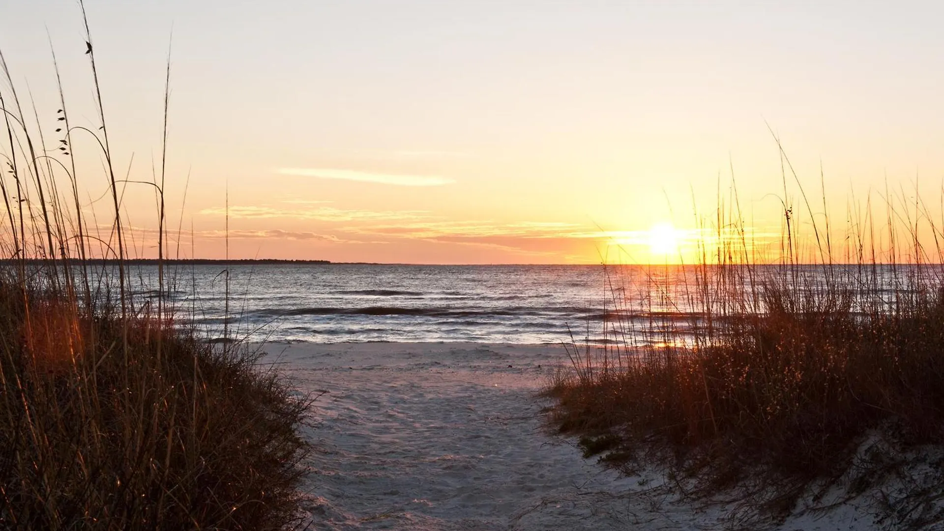 The Sandy Pineapple - Coastal Steps To Pet & Family Friendly! * Port St. Joe