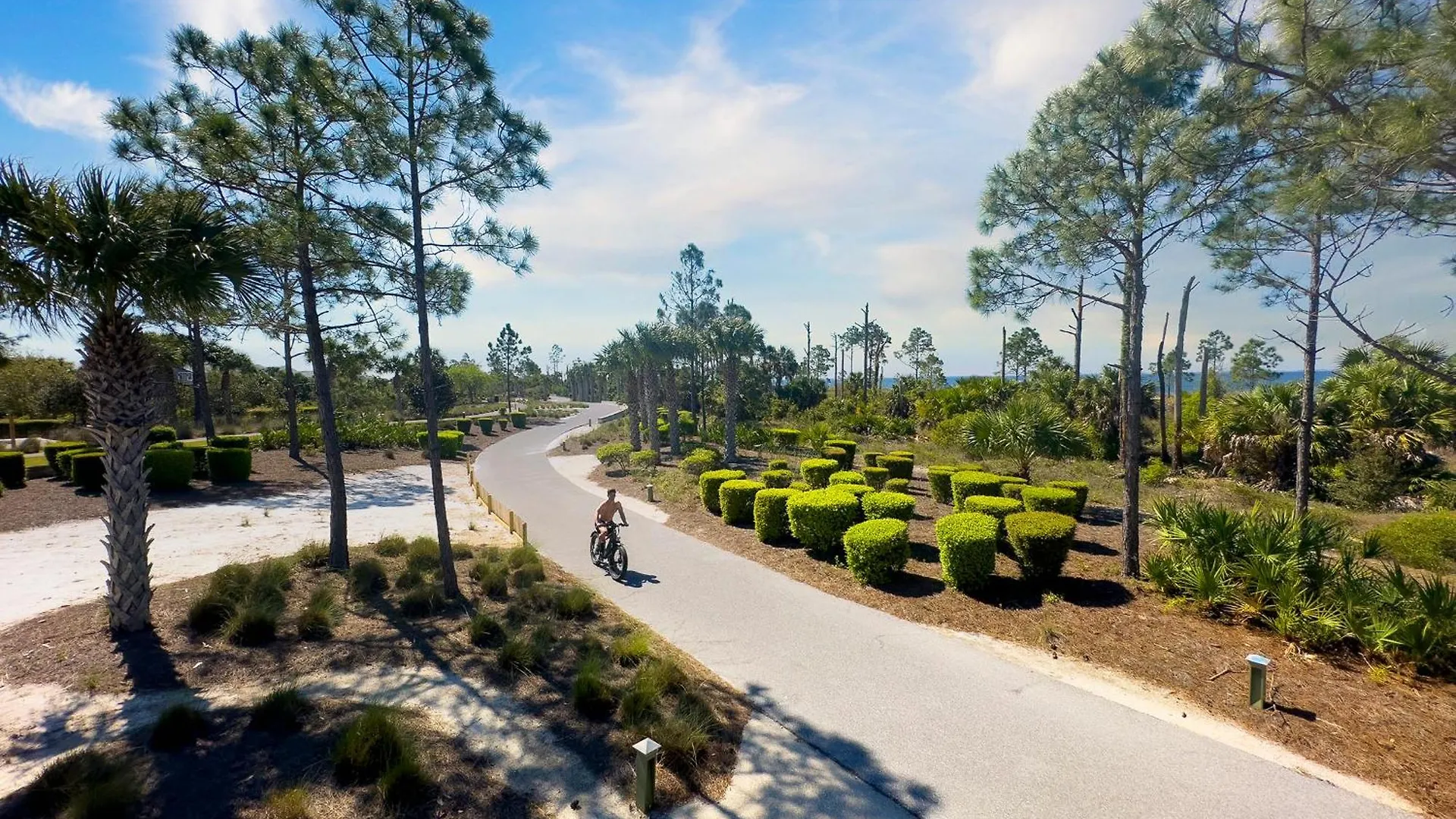 The Sandy Pineapple - Coastal Steps To Pet & Family Friendly! * Port St. Joe