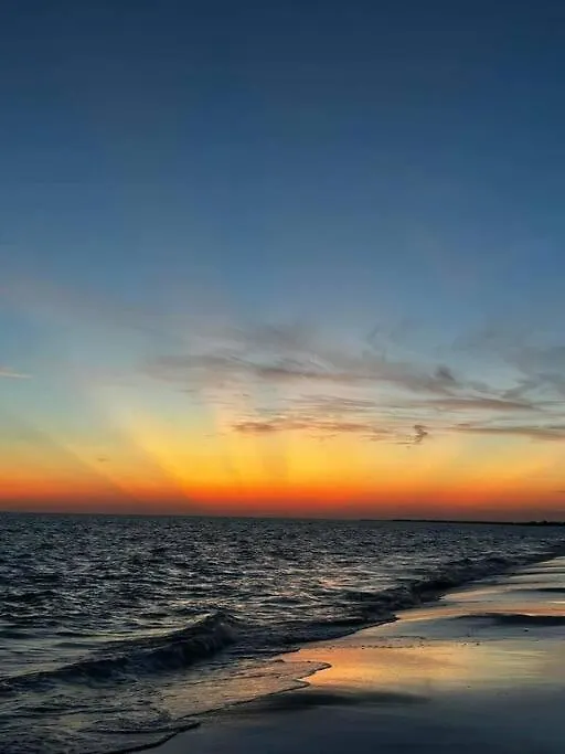A Shore Delight