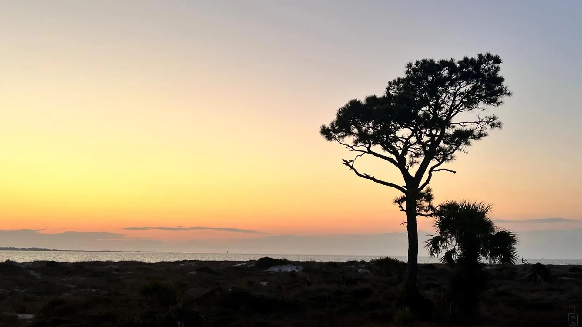 Walk To The Stylish In Port St Joe! Holiday home Port St. Joe