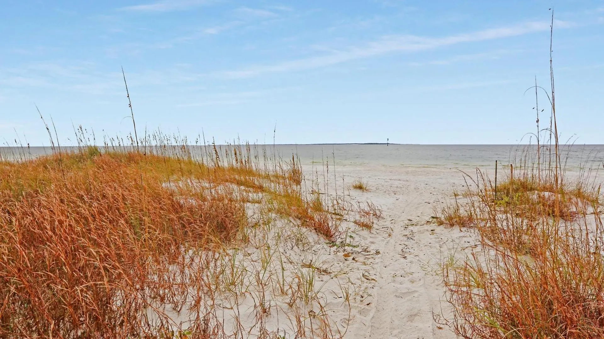 公寓 Mimi's Place By Pristine Vacation Port St. Joe
