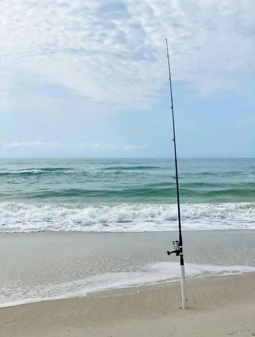 A Shore Delight 펜션 *
