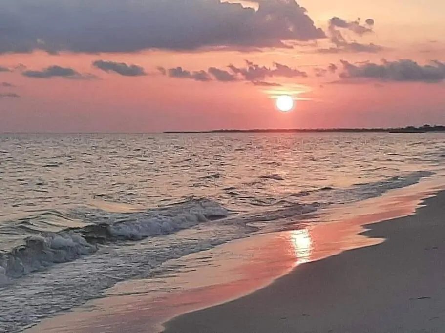 펜션 A Shore Delight *