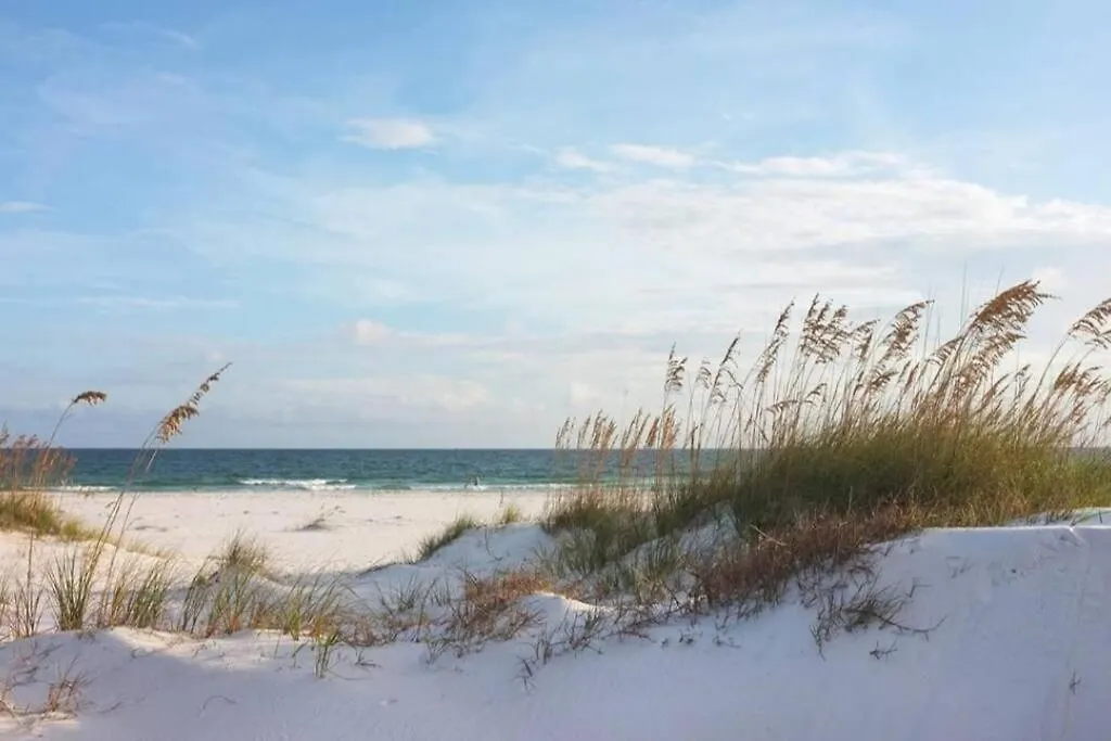 A Shore Delight